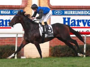 Marway wins Wagga Town Plate