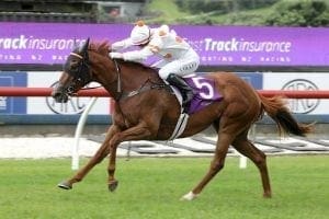 Northern focus for smart sprinter