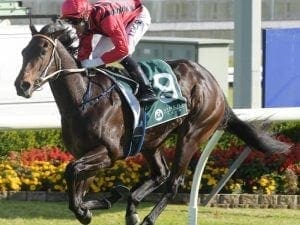 Avdulla increases Sydney premiership lead