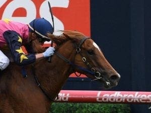 Summer Sham poised to resume at Caulfield