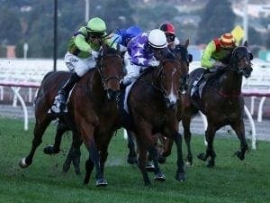 Newitt confident Derasa can overcome draw