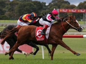 Morrissy steps up in distance at Caulfield