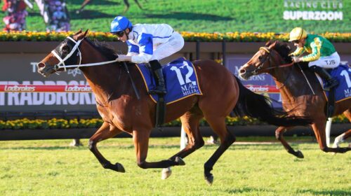 Cest-Magique-Dane-Ripper-Stakes-500x280.