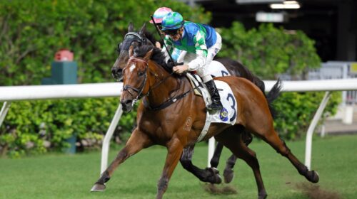 Copartner-Prance-Zac-Purton-scaled-1-500