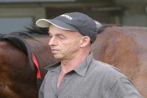Well-related 2YO a bright longer-term prospect