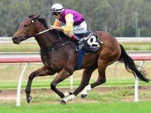 Pat Duff's hopes of stakes win soar