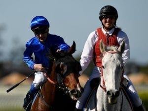 Brave Song gives Shinn a treble