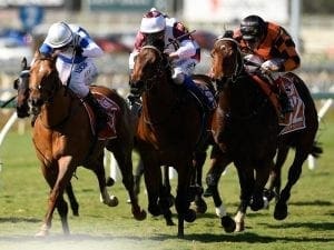 Hanover Square wins Battle Of The Bush