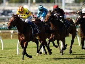 Vega One justifies Eagle Farm quote