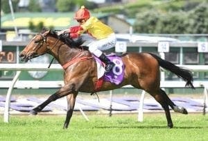 Fire Jet bids for Ruakaka win