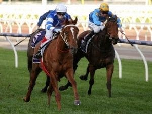 Gytrash dominant in Creswick Stakes win