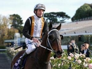 Damien Oliver suspended for eight meetings