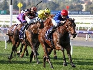 Rubisaki shows talent in Flemington win