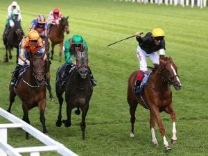 Stradivarius gives Gosden Ascot Gold Cup