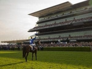 Bowman admits Winx campaign took a toll