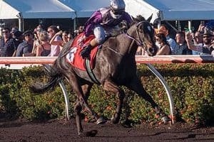 Highly Decorated will miss Darwin Cup due to injury