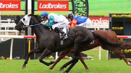 I-Wish-I-Win-Kingsford-Smith-Cup-500x280