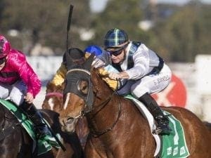 Ryan's magic plan leads to Waterhouse win