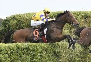 Distance challenge for steeplechaser