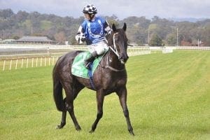 Lees Racing