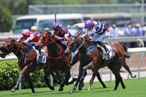 Packing Hurricane’s out to take Happy Valley by storm