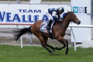 Pier with Australian Group 1's on agenda