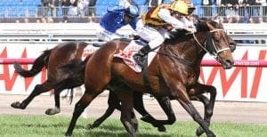 Preferment