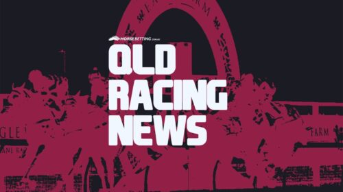 QLD-Racing-NEWS-3-500x280.jpg
