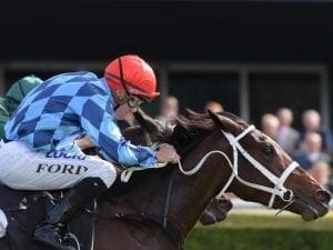 Funstar finds gap to win again at Randwick