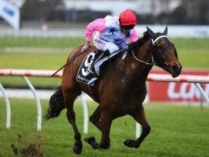 Jason Baldock gets job done at Sandown