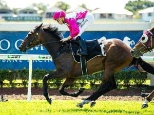 Michael Hellyer after another Guineas win