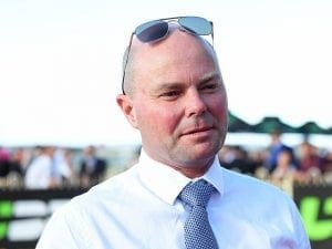 Top 2yos to clash at Sunshine Coast
