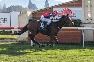 Trainer surprised by lack of rider options