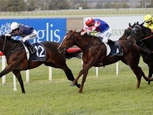 Coyle confident of another Group One