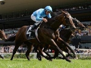 Prompt Response primed for Tatt's Tiara