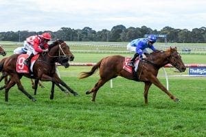 Tony Noonan Elite Legacy
