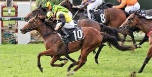 Bidii Babe, trained by Robert Heathcote