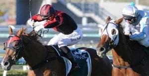 Apprentice jockey Tiffani Brooker