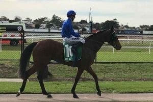 Evanesce wins at Newcastle