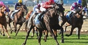 Greviste wins at Moonee Valley