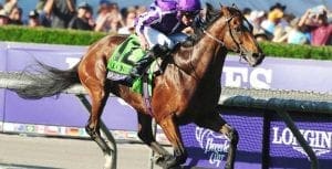 Irish horse Highland Reel