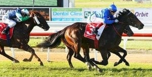 Godolphin horse Kinshachi