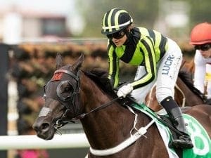 Meagher stable set for divine result