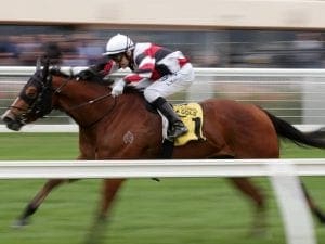 Halvorsen out to upstage older rivals