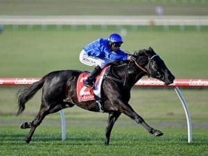 Rain to help Button runners at Rockhampton