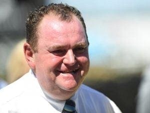 Corstens expects 1600m to suit Goldifox