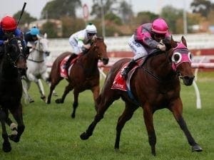 Wilde weighing up options for Inn Keeper