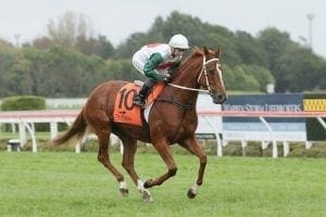 Dairy farmer seeks Australian spoils