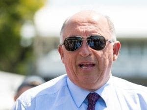 Heathcote has fun with mare's offspring