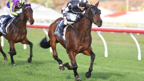 Justaskme-Wanganui-AGC-Training-St-3.6.2